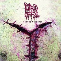 Putrid Offal : Mature Necropsy